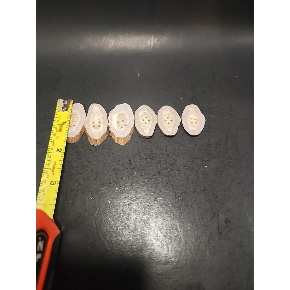 6 Piece Set Of Raw‎ Antler Buttons 1.25